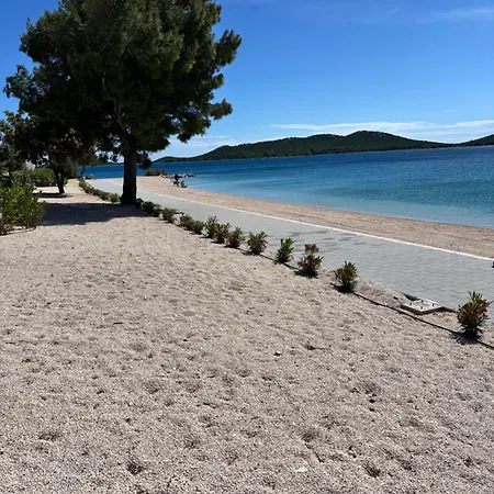 Buqez Hajda 16 - Second Row Direct On The *