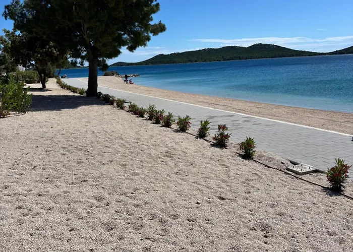 Buqez Hajda 16 - Second Row Direct On The *