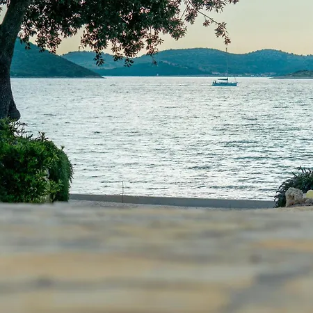 Buqez Hajda 16 - Second Row Direct On The