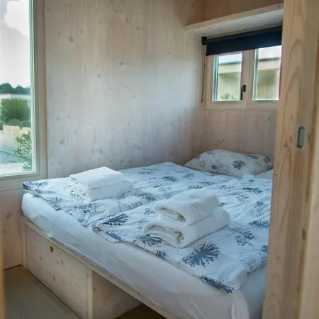 Buqez Hajda 16 - Second Row Direct On The * 드라게