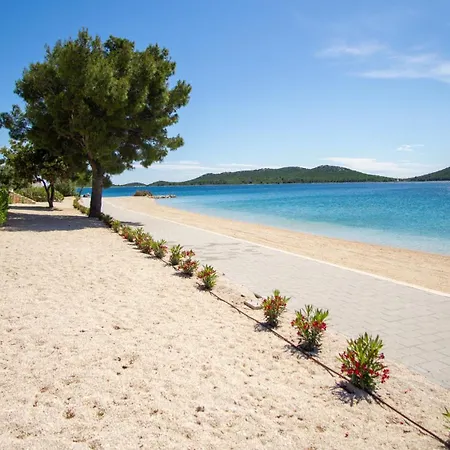 Buqez Hajda 16 - Second Row Direct On The