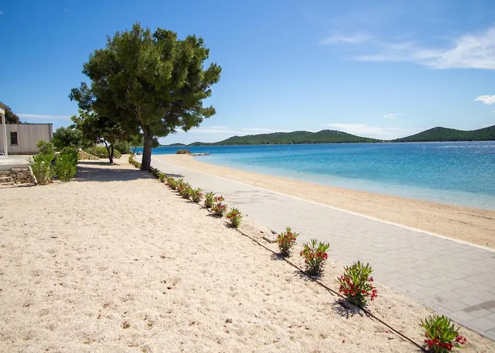 Buqez Hajda 16 - Second Row Direct On The